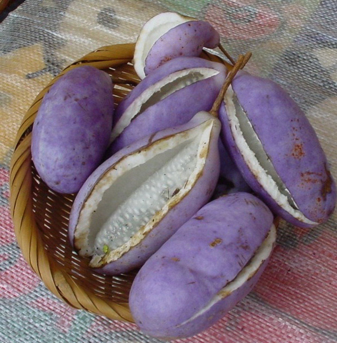 Akebi Fruit