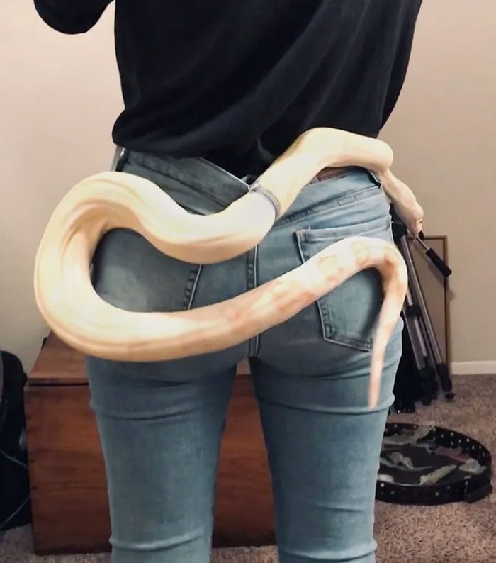 A snake on the back of a person's butt

Description automatically generated