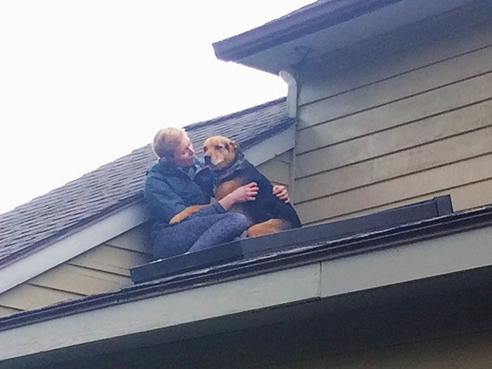 A person sitting on a roof with a dog

Description automatically generated